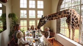 Family Adventure Holidays